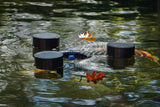 Removing Leaves from Your Pond in Autumn