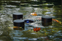 Removing Leaves from Your Pond in Autumn