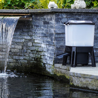 Reduce Fish Feeding in Autumn and Winter